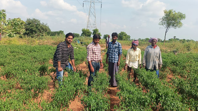సస్యరక్షణ చర్యలపై రైతులు అవగాహన కలిగి ఉండాలి-ఏ.ఈ.ఓ లు సందీప్,దీక్షిత్.