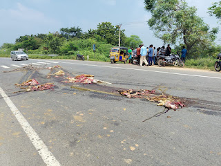 మూగజీవాలను తొక్కుకుంటూ వెళ్లిన గ్రానైట్ లారీ.