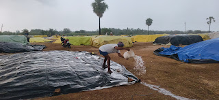 నీటిపాలైన ధాన్యం రాశులు...రైతుల కళ్ళల్లో కడగండ్లు.